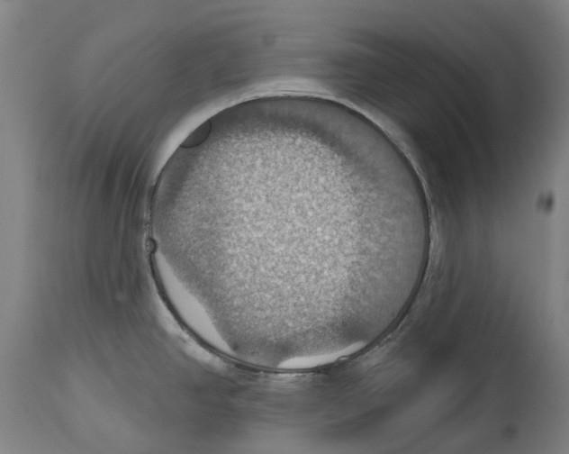 X0000114421390200911131441