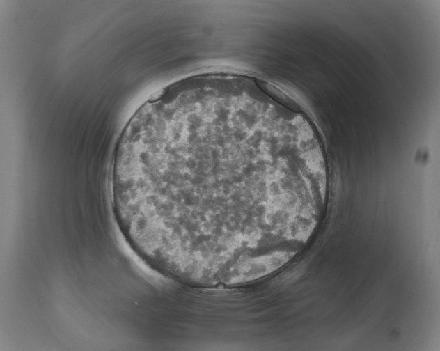 X0000114421391200911131441