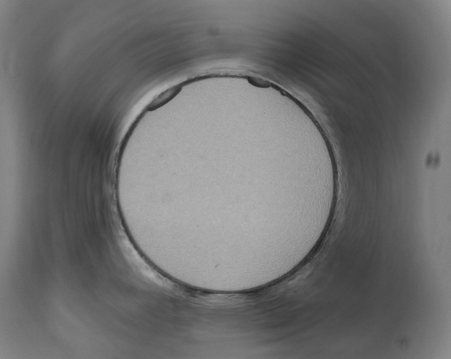 X0000114421392200911131441