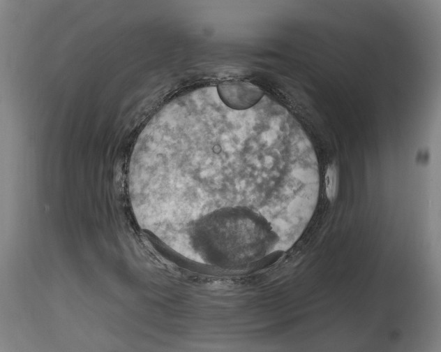 X0000114421395200911131441