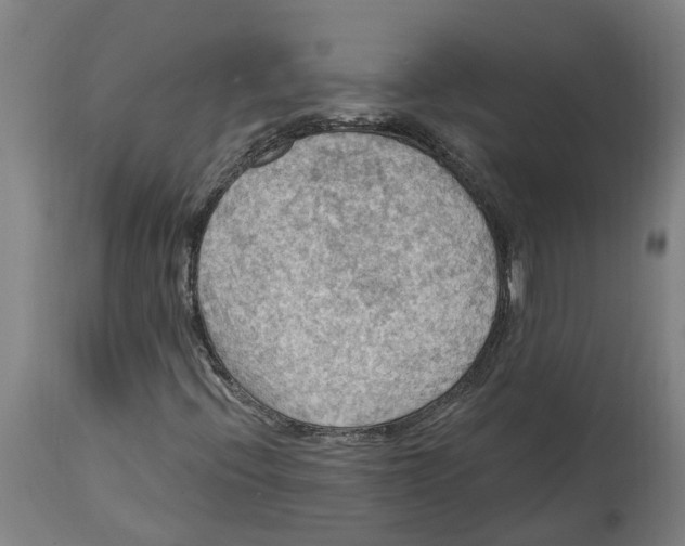 X0000114421396200911131441