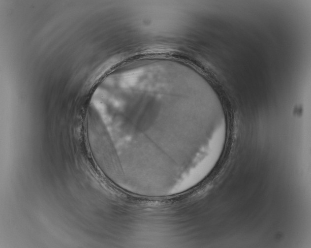 X0000114421401200911131441