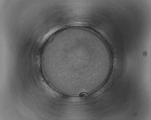 X0000114421402200911131441