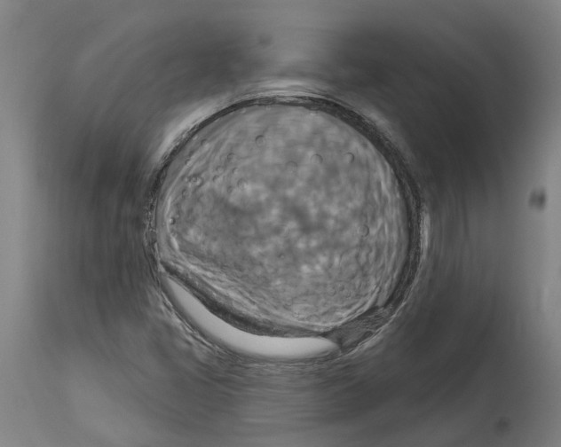 X0000114421405200911131441