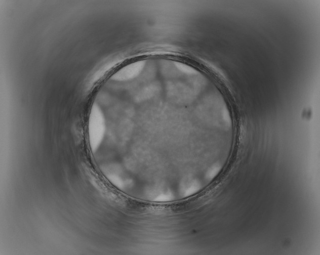 X0000114421407200911131441