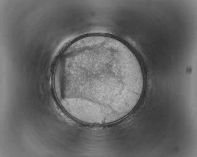 X0000114421408200911131441