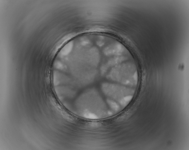 X0000114421409200911131441