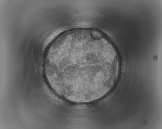 X0000114421410200911131441