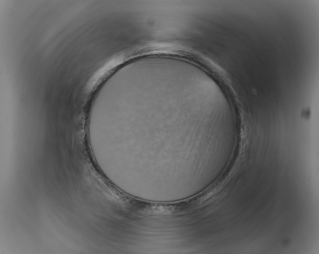 X0000114421411200911131441