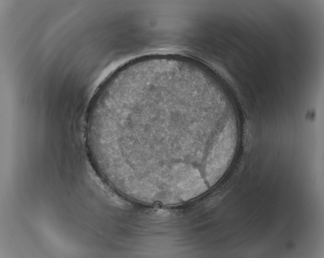 X0000114421412200911131441