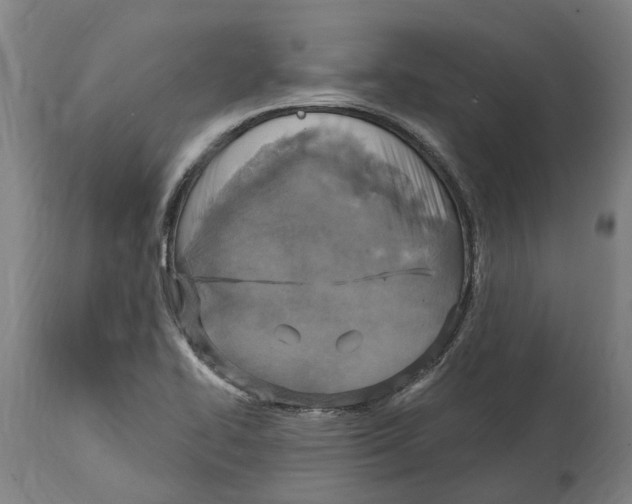 X0000114421414200911131441