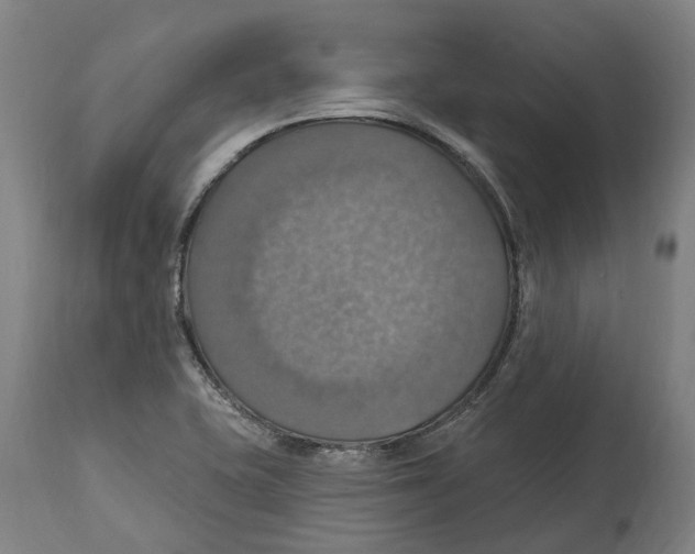 X0000114421415200911131441