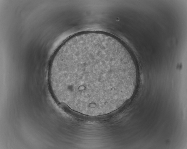 X0000114421416200911131441