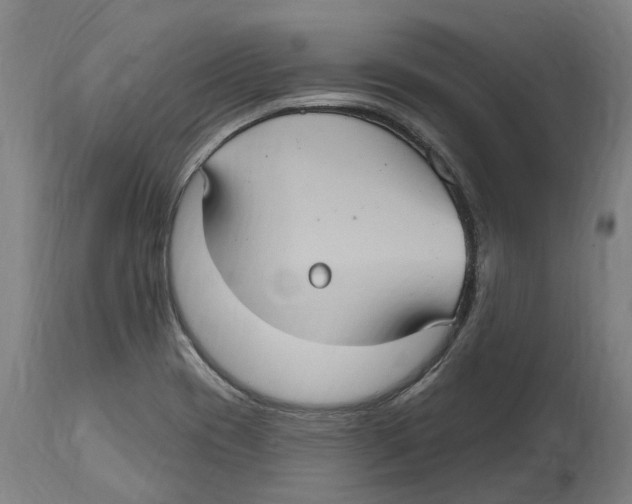 X0000114421417200911131441