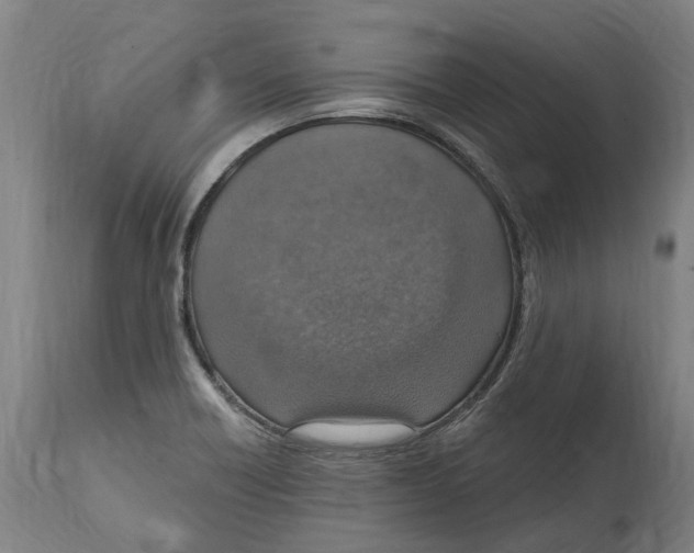 X0000114421418200911131441