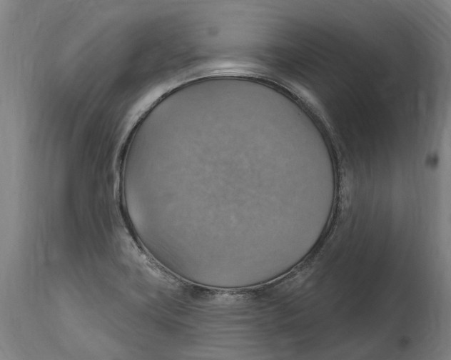 X0000114421419200911131441