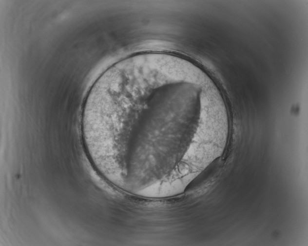 X0000114421421200911131441