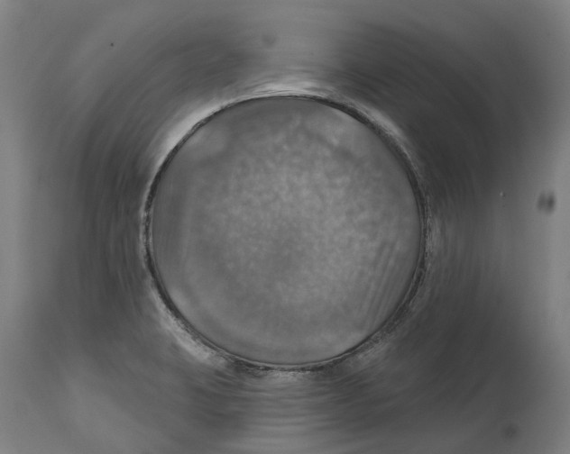 X0000114421423200911131441