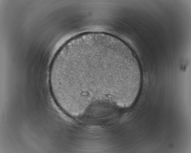 X0000114421424200911131441