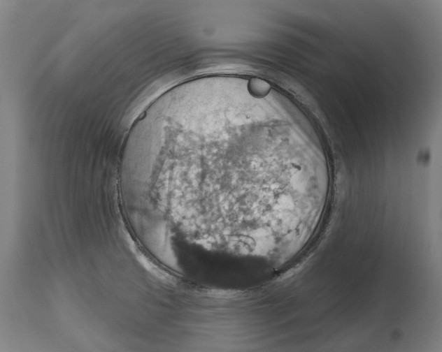 X0000114421425200911131441