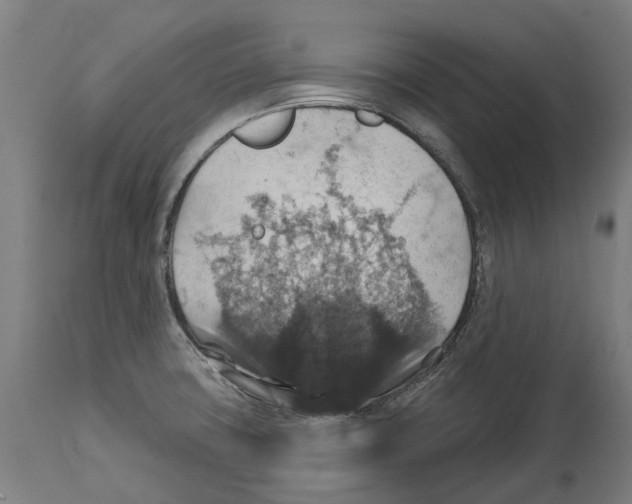 X0000114421427200911131441