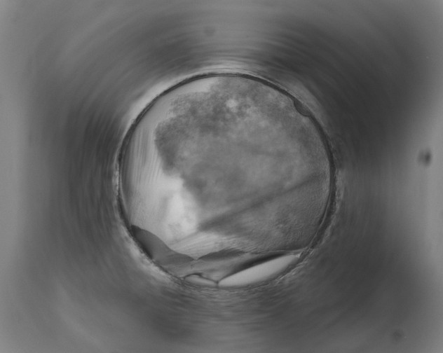 X0000114421428200911131441