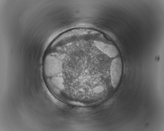 X0000114421430200911131441