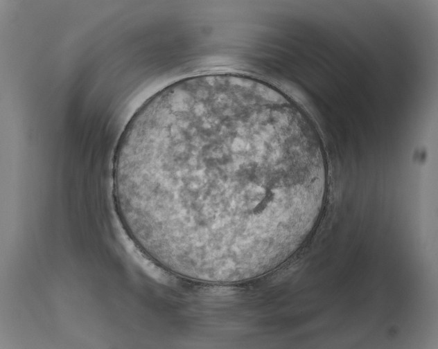 X0000114421431200911131441