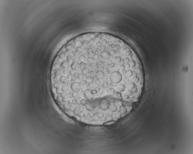 X0000114421432200911131441