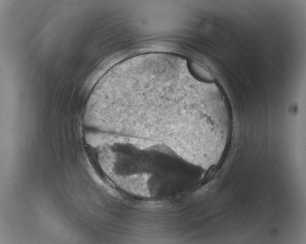 X0000114421433200911131441