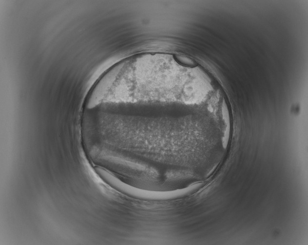 X0000114421434200911131441