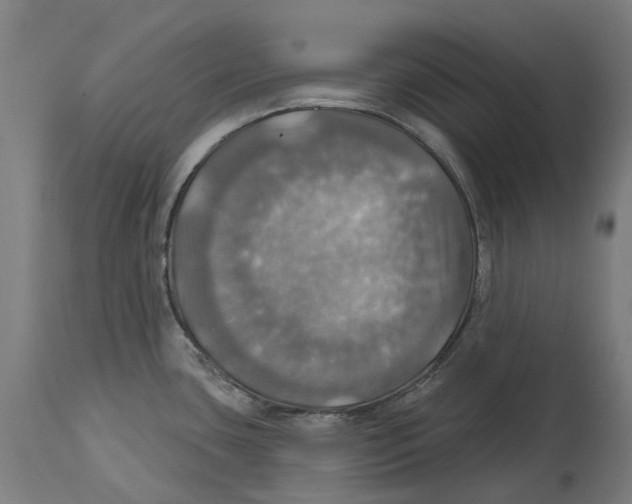 X0000114421435200911131441