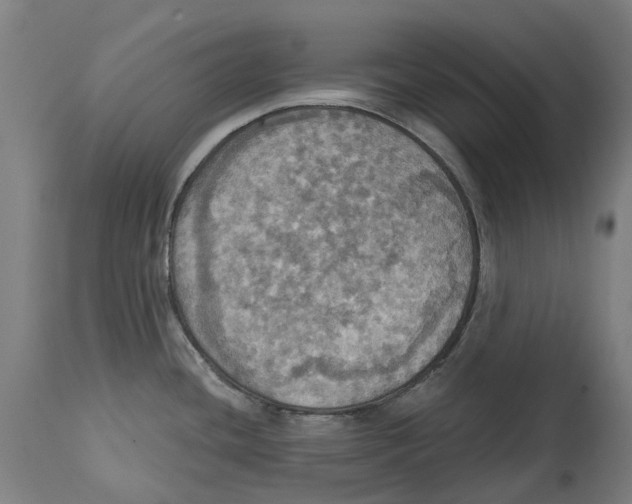 X0000114421436200911131441