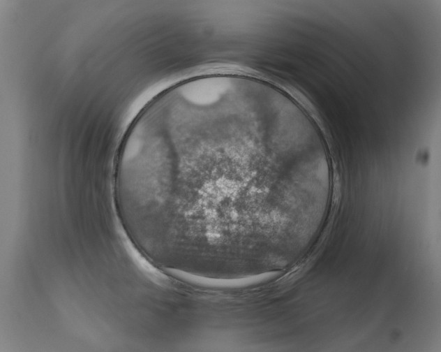 X0000114421438200911131441