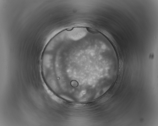 X0000114421439200911131441