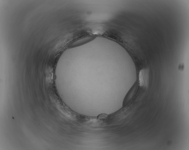 X0000114421443200911131440