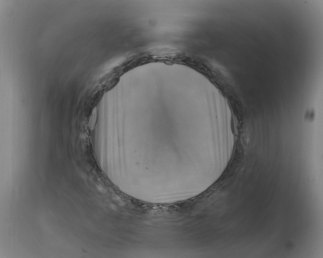 X0000114421445200911131440