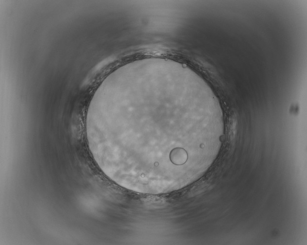 X0000114421446200911131440