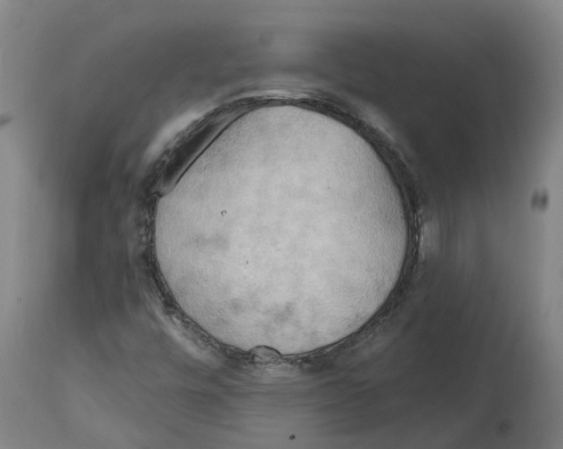 X0000114421448200911131440