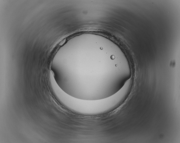 X0000114421449200911131440