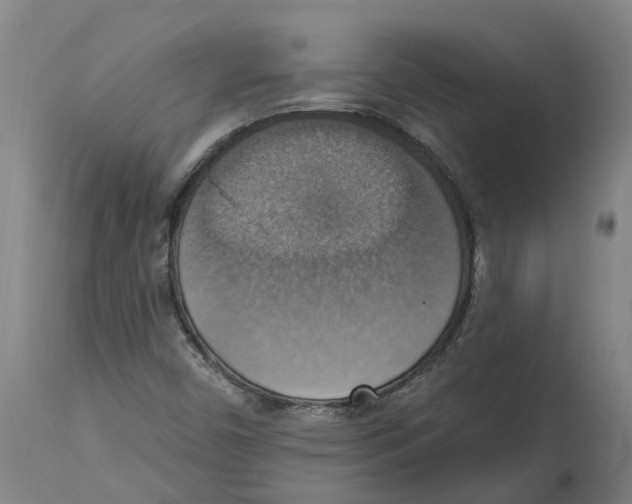 X0000114421450200911131440