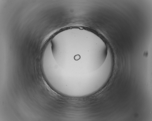 X0000114421452200911131440