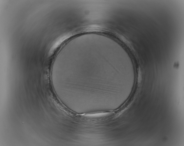 X0000114421453200911131440