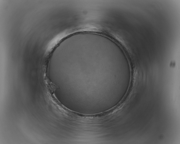 X0000114421455200911131440