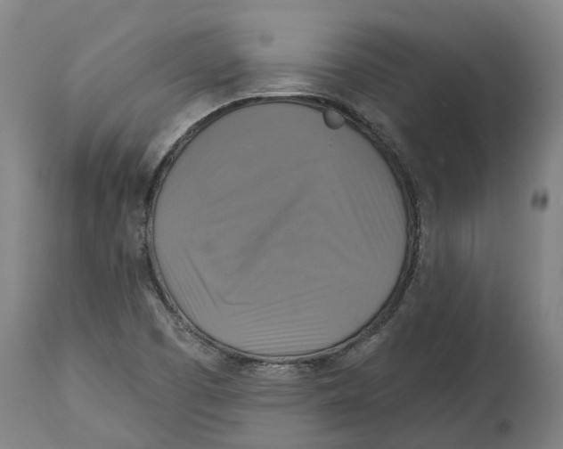 X0000114421457200911131440