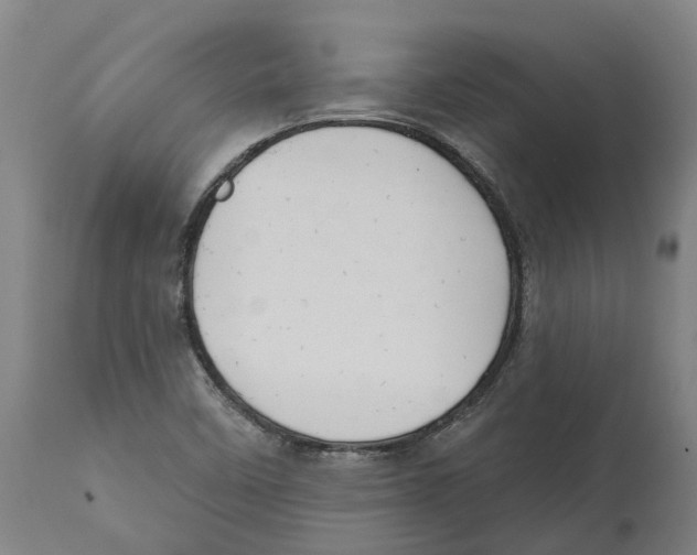 X0000114421458200911131440