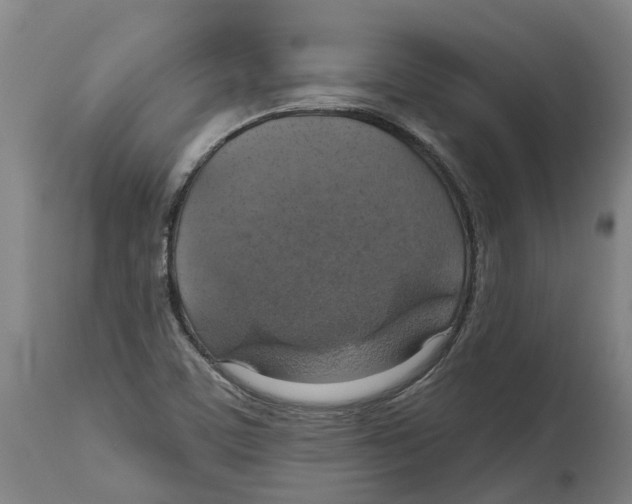 X0000114421459200911131440