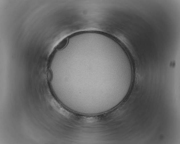 X0000114421460200911131440