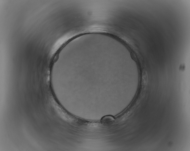 X0000114421461200911131440