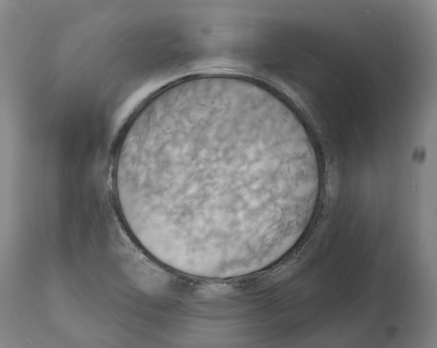 X0000114421462200911131440